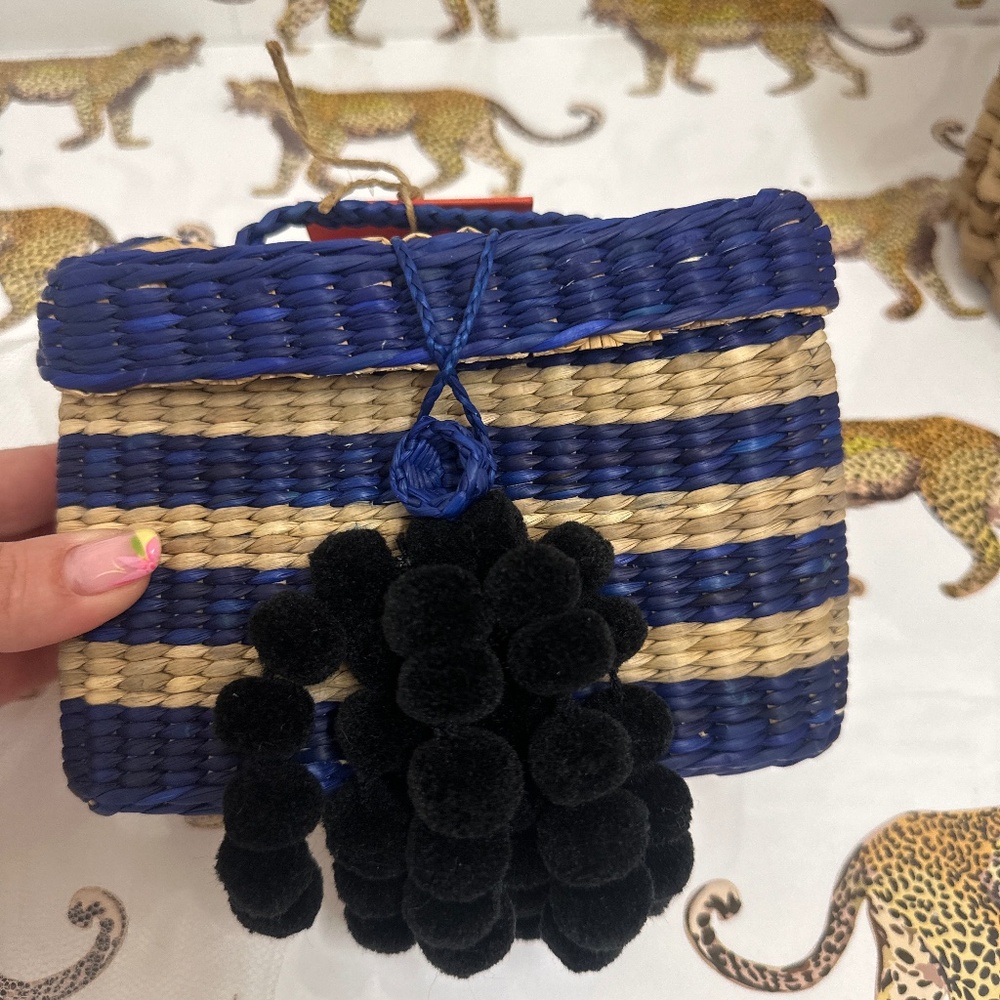 NWT Nannacay reed clutch